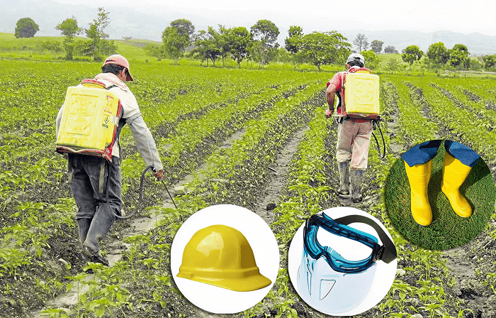 Imagen representativa del sector Agropecuaria